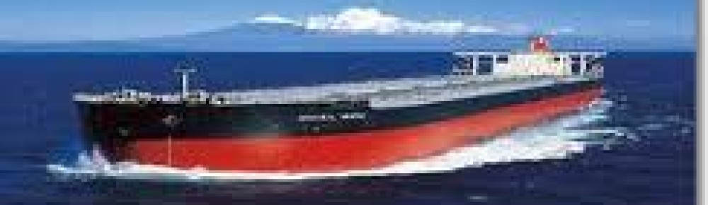 United Shipping & Trading / Logistics