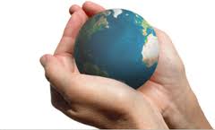 United Shipping & Trading / Logistics